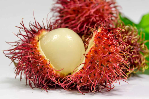 Fruits