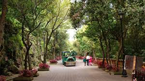 Chapultepec Forest